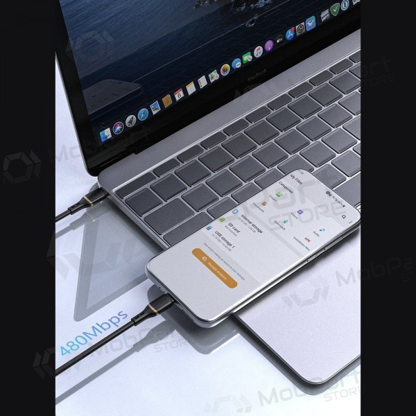 USB-C kaabel Dudao L25C USB-C kuni USB-C 1 m 60 W must