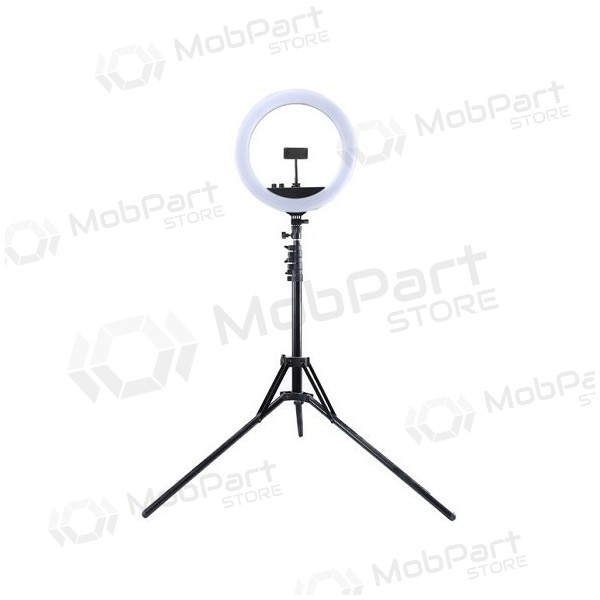 LED žiedinė lamp 34.5cm, su trikoju stovu iki 1.85m, veidrodžiu ja telefono laikikliu, USB LED žiedinė lamp 34.5cm, su trikoju stovu iki 1.85m, veidrodžiu ja telefono laikikliu, USB