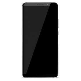 Huawei Mate 10 Pro ekraan (mustad) (Titanium Gray) (no logo)