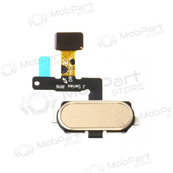 Samsung J530F Galaxy J5 (2017) / J730F Galaxy J7 (2017) HOME nupu liides (kuldne)