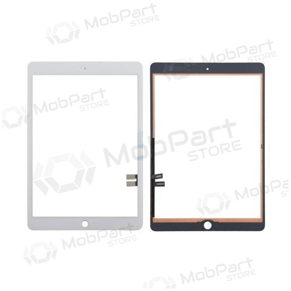 Apple iPad 10.2 2019 (7th Generation) / 10.2 2020 (8th Generation) puutetundlik klaas (valged)